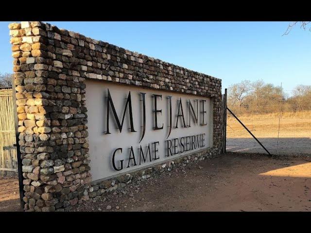 هتل مژه اَن بوش کمپ Mjejane Bush Camp