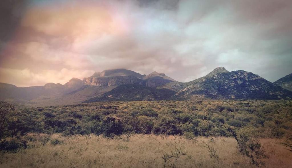 هتل محله محله مِنتِین ویو - Moholoholo Mountain View