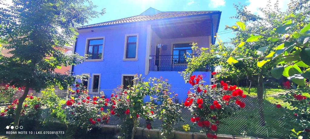 هتل لریک رنت هوس Lerik Renthouse