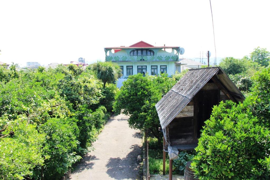 هتل گست هاوس گرین هاوس Guesthouse Green House
