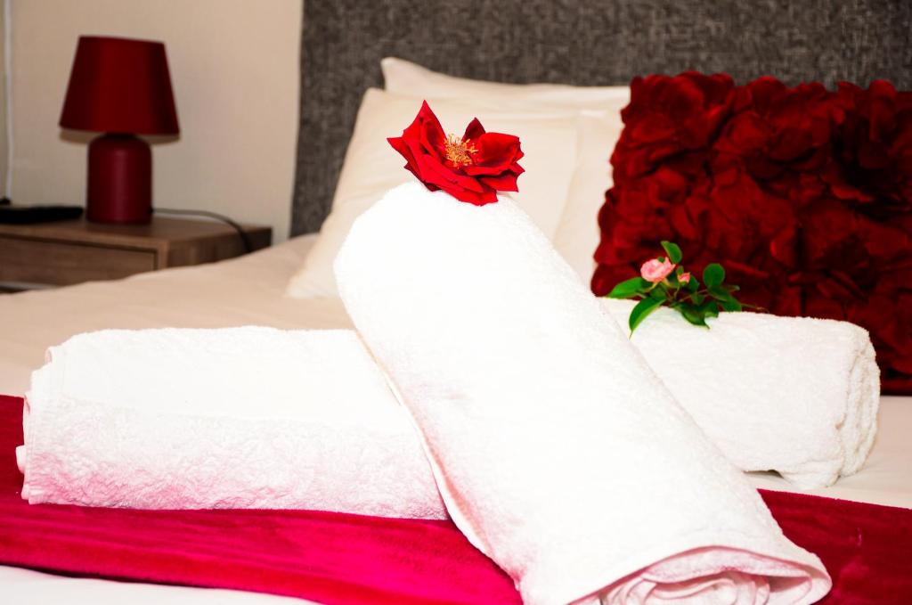 هتل نووس گست هاوس Novus Guest House