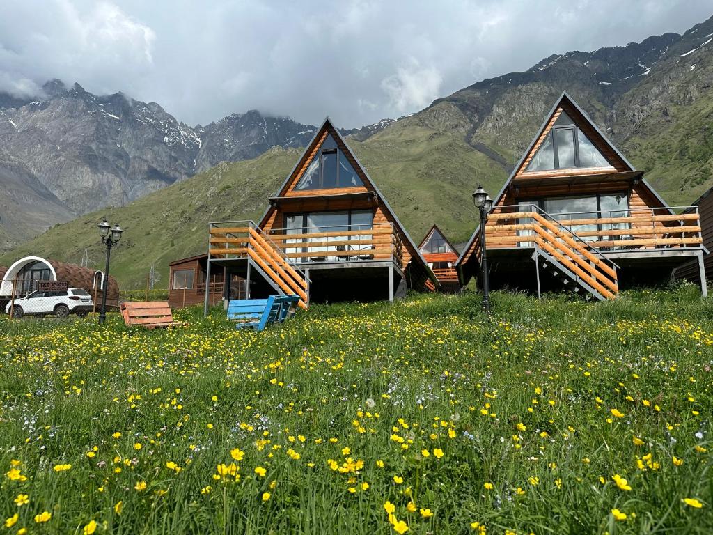 هتل تی اند تی کاتج T&T cottage