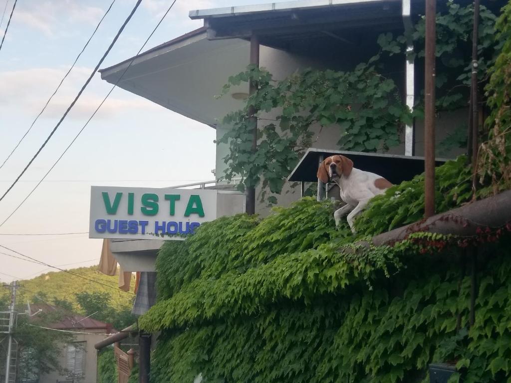 هتل گست هاوس ویستا Guest House Vista