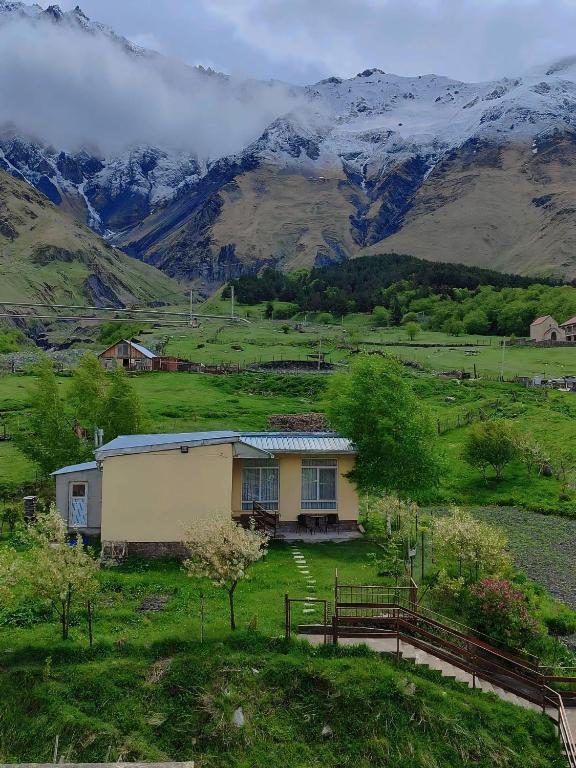 هتل ماونت کازبگی آپارتمان Mountain KAZBEGI Apartment