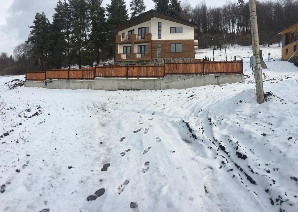 هتل هاوس نیِر فُرِست House Near Forest
