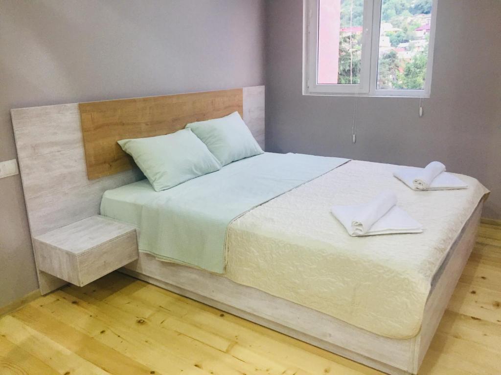 هتل دیاسامیدزه بی آپارتمان Diasamidzeebi apartment