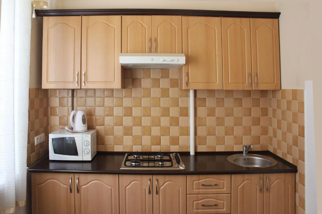 هتل آپارتمانز آن سنترالنایا پلاشاد Apartments on Tsentralnaya Ploshad