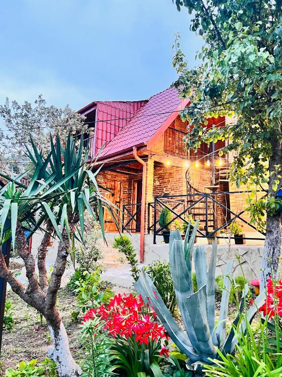 هتل سان شاین هاوس Sunshine House