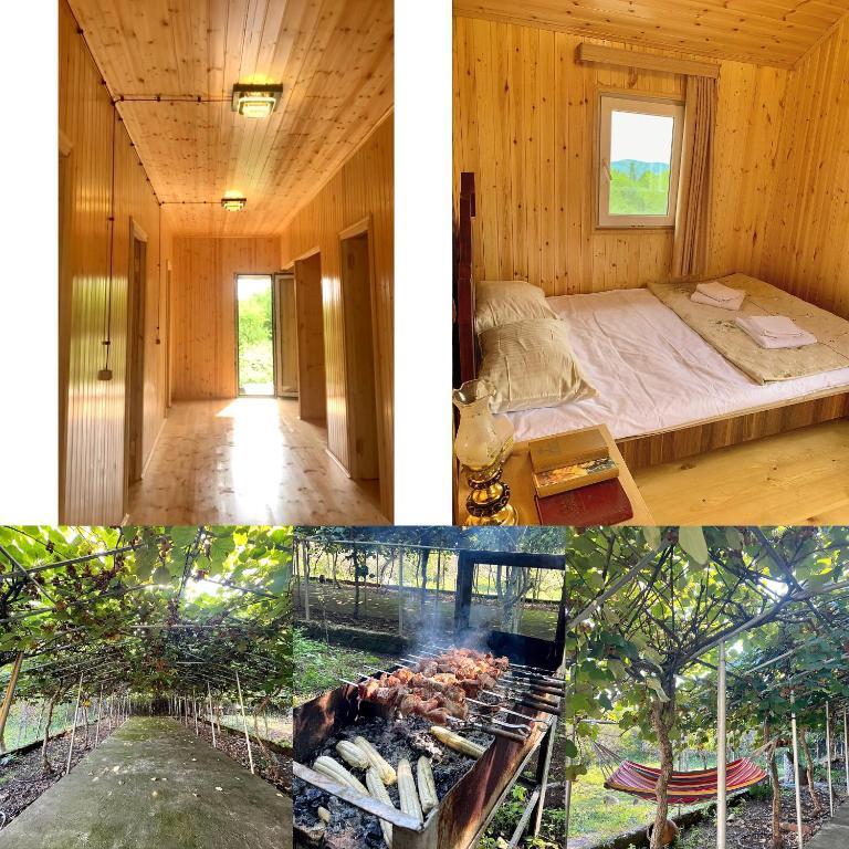 هتل اوکاتسیا  ساتومرو اوکاتسیا Hotel Okatsia სასტუმრო ოკაცია