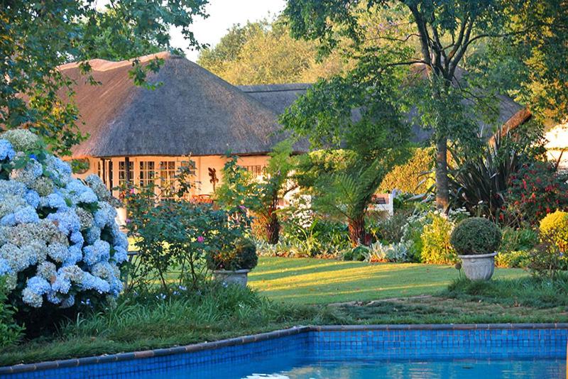 هتل هیلتون بلا ویستا Hilton Bella Vista