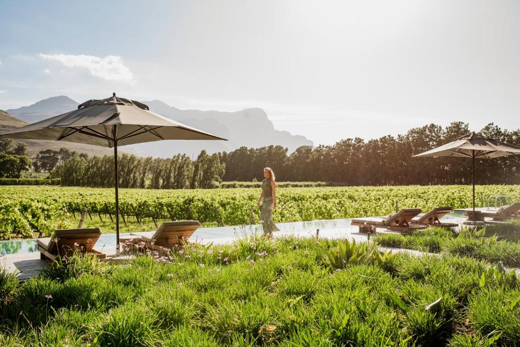 هتل مِیزون فرانشهوک MAISON FRANSCHHOEK