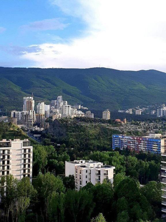هتل سیتی سنتر وی آی پی گوتуа - City Centre Vip Gotua