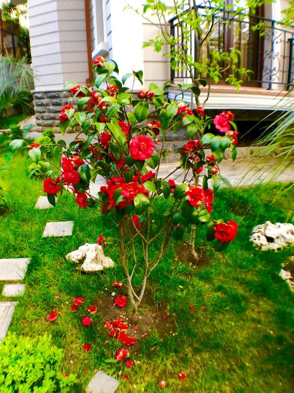 Villa Garden