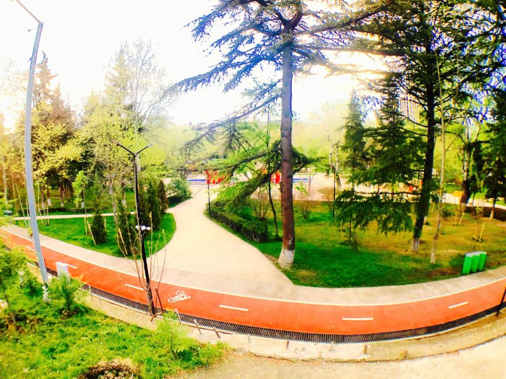 Villa Garden