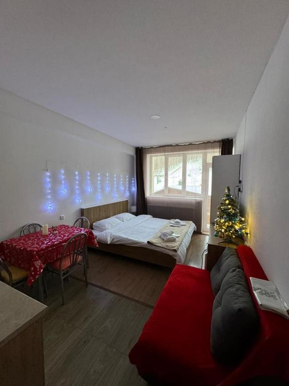 هتل آپارتمنت این باکوریانی Apartment in Bakuriani