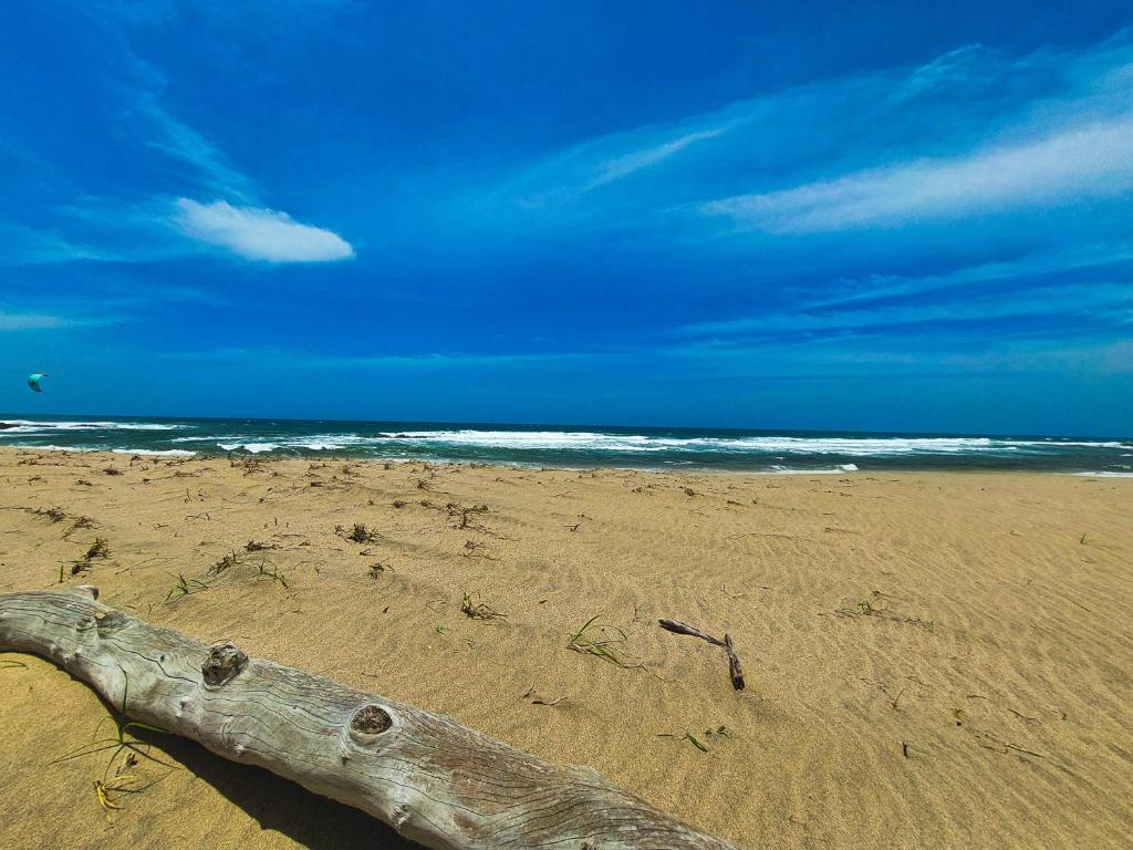 هتل لاگون کباناس Lagoon Cabanas