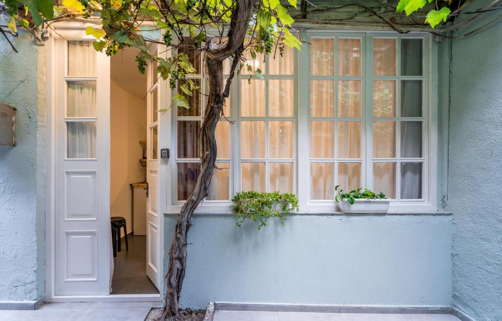 هتل کوزی استودیو این اولد تیبلیسی - Cozy Studio in Old Tbilisi