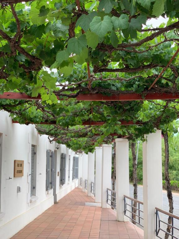 هتل پورت واین گست هاوس Port Wine Guesthouse