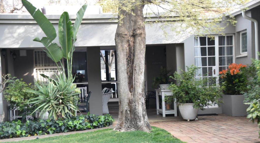 هتل روزبانک لودج گس‌ت‌هاوس بای کلیرز Rosebank Lodge Guesthouse by Claires