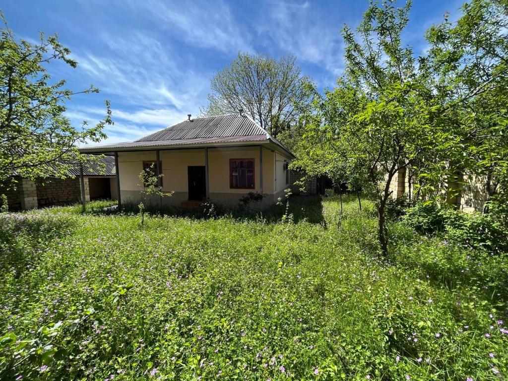هتل لیتل گاردن هاوس Little Garden House