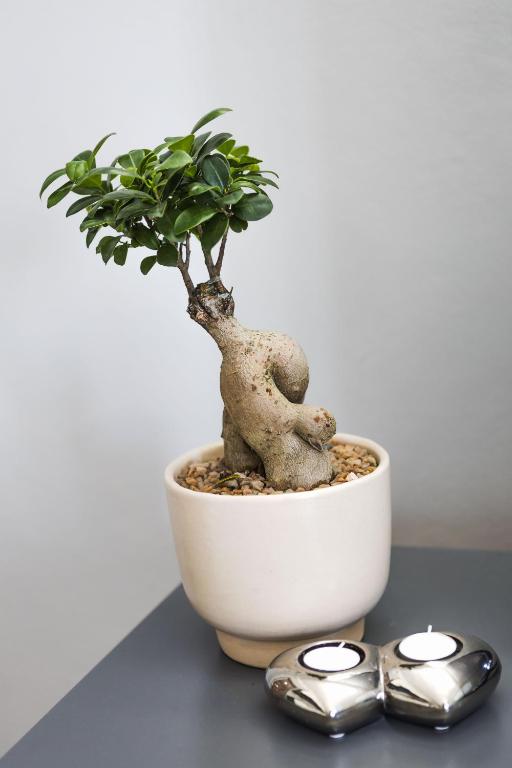 Namaste Spacious Studio Apartment