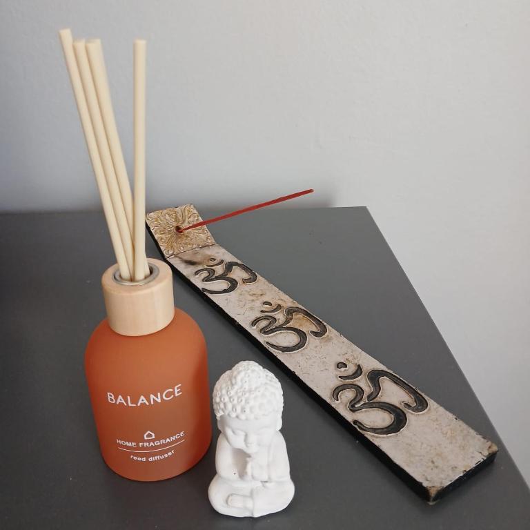 Namaste Spacious Studio Apartment