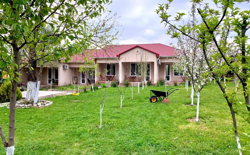 هتل کوزی فمیلی کاتجز Cozy Family Cottages