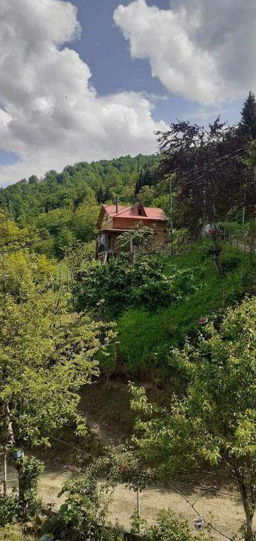 هتل مای هاوس My house
