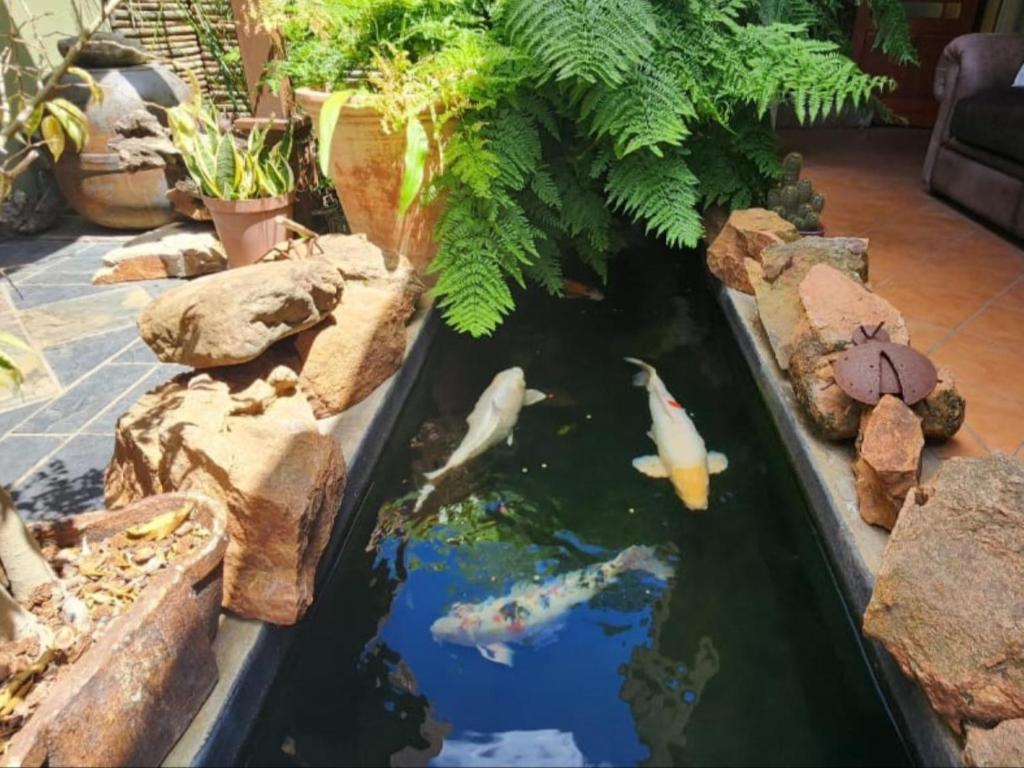 Dai Heka Guest House