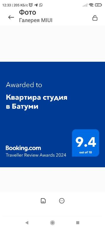 هتل کوارتیر استودیا و باتومی - Квартира студия в Батуми