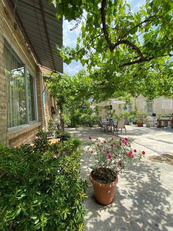 هتل تالاوری اپارتمان این اولد تیبیلیسی - Talaveri Apartment in Old Tbilisi