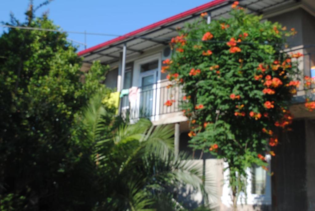 هتل گیگاگرست هاوس Giga Guest House