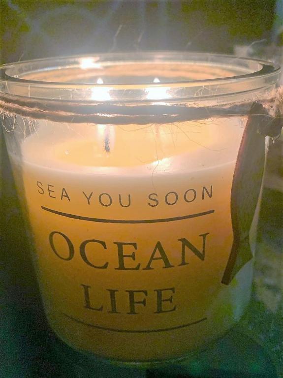 هتل اوشن لایف - Ocean Life