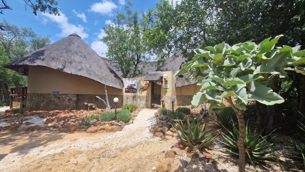 هتل بونا اینتابا گیم لودج - Bona Intaba Game Lodge