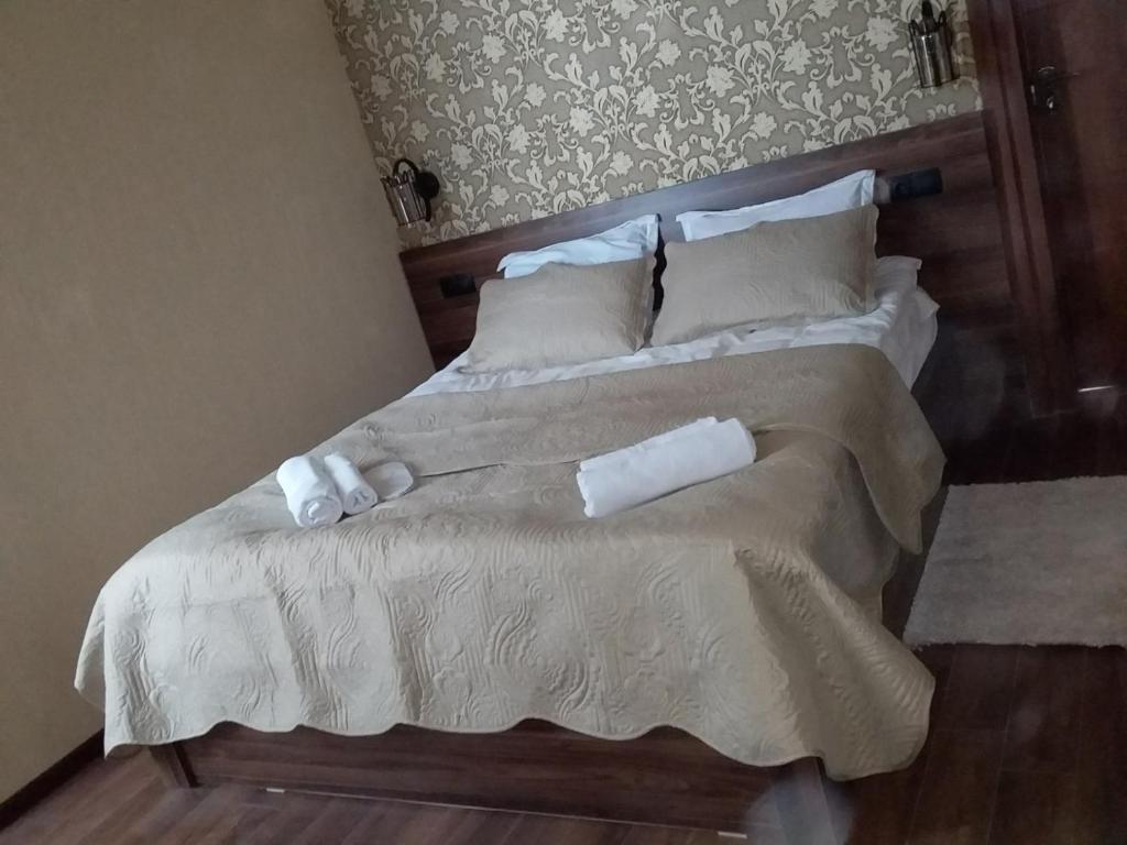 هتل کوزی هاوس کازبگی Cozy House Kazbegi