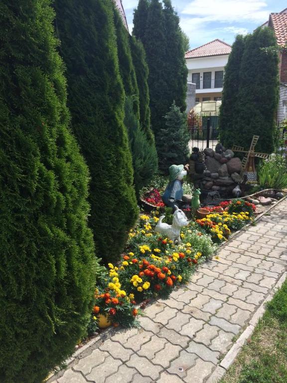 Guest House na Zelenoy