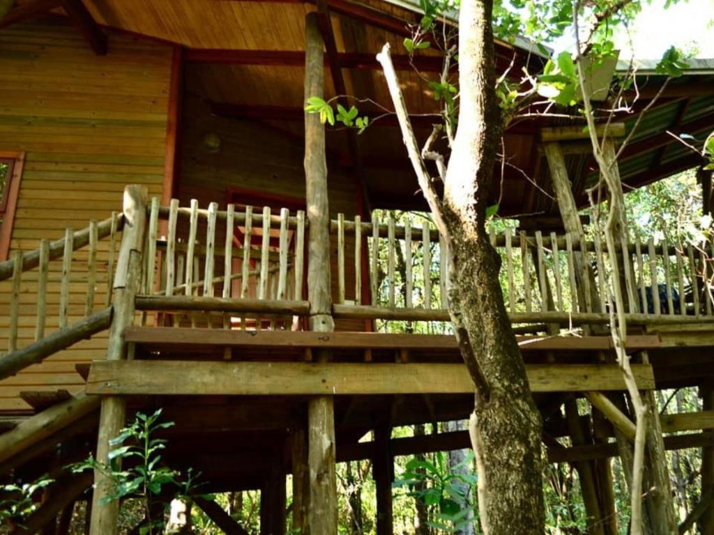 هتل واتربسیبوس کاتج Waterbessiebos cottage