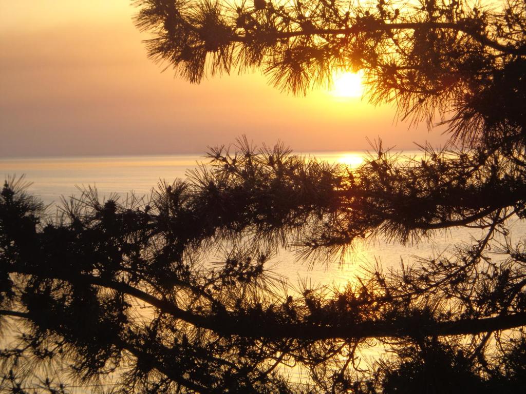 هتل مارشال ریزورت کبلوئتی Marshal Resort Kobuleti