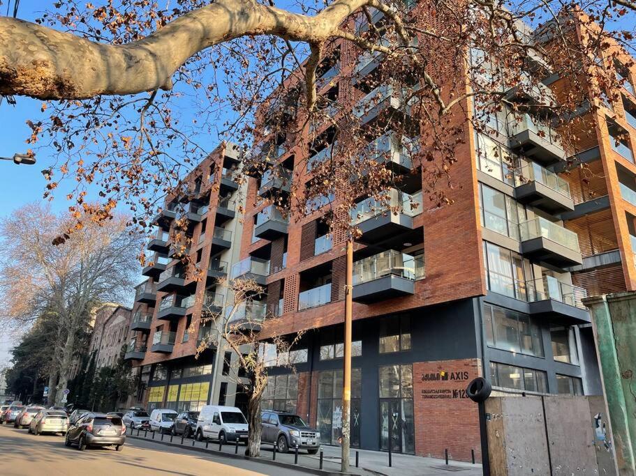 هتل نیو سنترال آپارتمان این تبیلیسی - New Central Apartment in Tbilisi