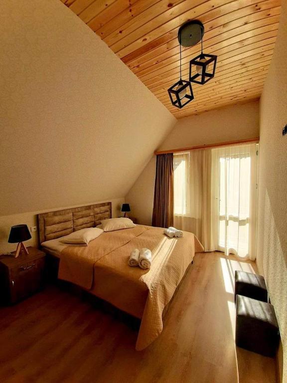هتل کازبگی این Kazbegi Inn