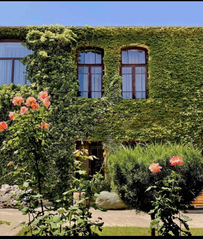 هتل گست هاوس ایدنا Guesthouse Edena