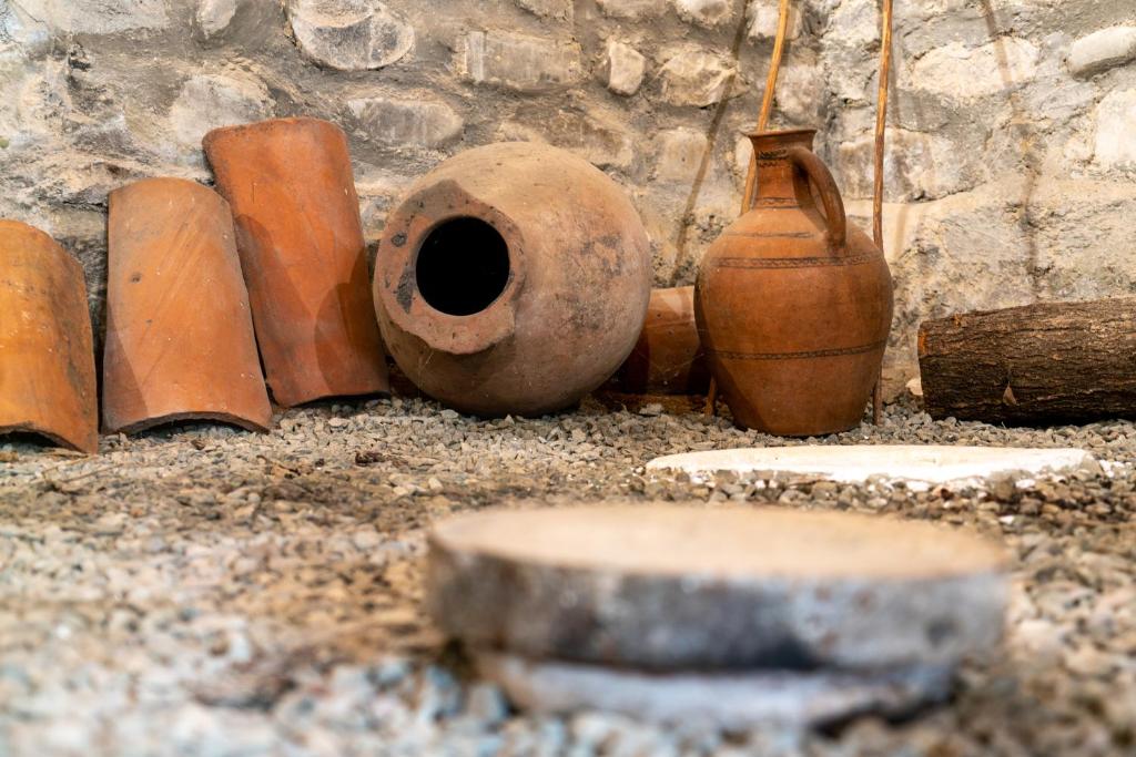 My Home in Tsinandali