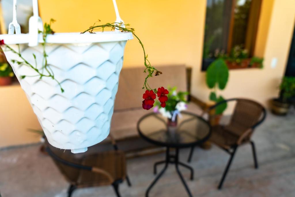 My Home in Tsinandali