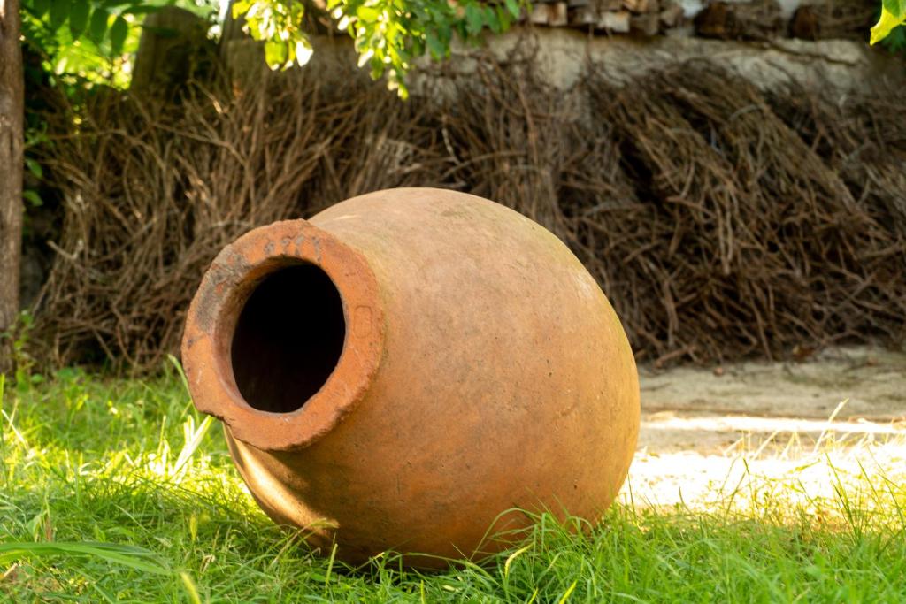 My Home in Tsinandali