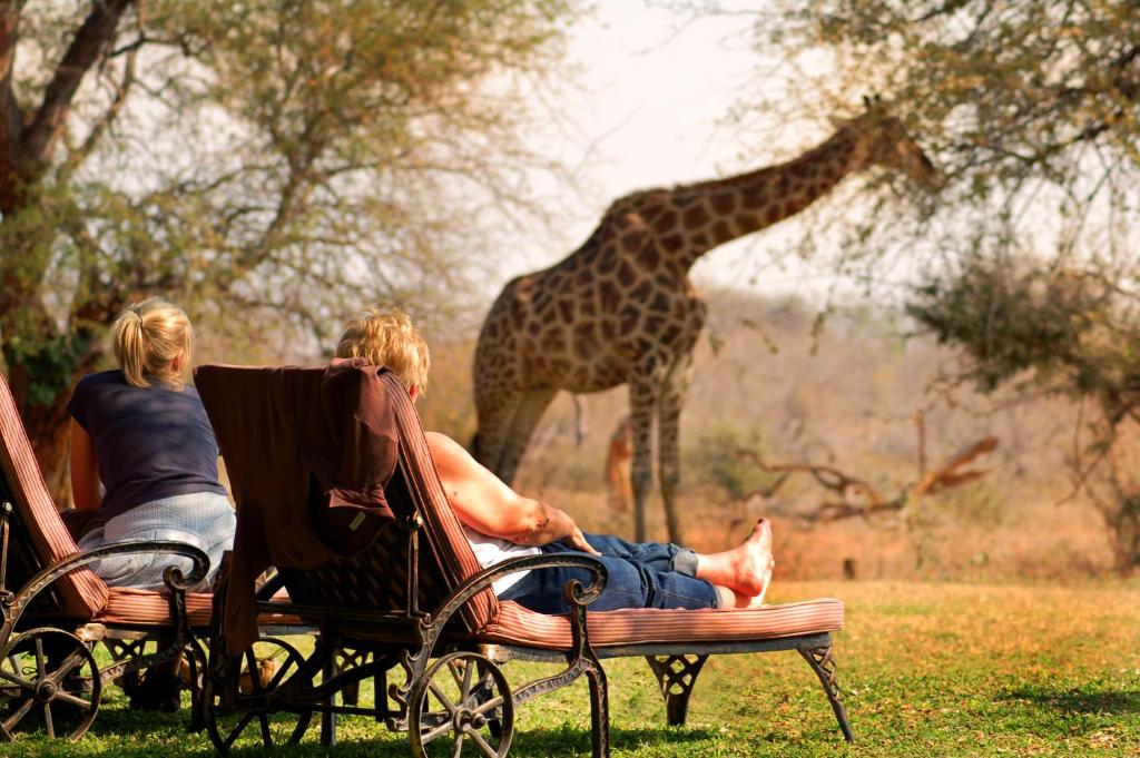 هتل موهلا بیتی سافاری لودج - Mohlabetsi Safari Lodge