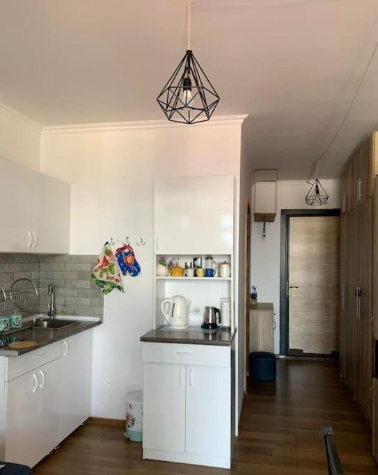 هتل فلت این باکوریمیانی Flat in Bakuriani