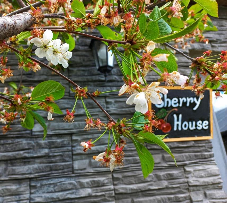 هتل چری هاوس Cherry House