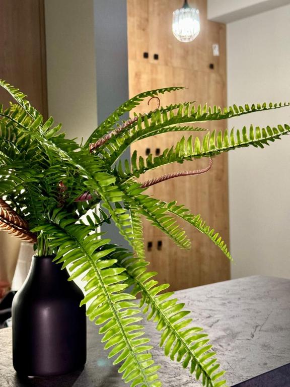 هتل کوزی آپارتمان فور آ پلسنت تریپ - Cozy Apartment for a pleasant trip