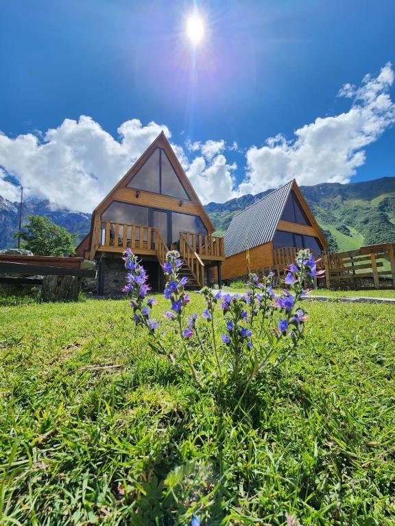 هتل کاتج کارپ دیem Cottage Carpe Diem
