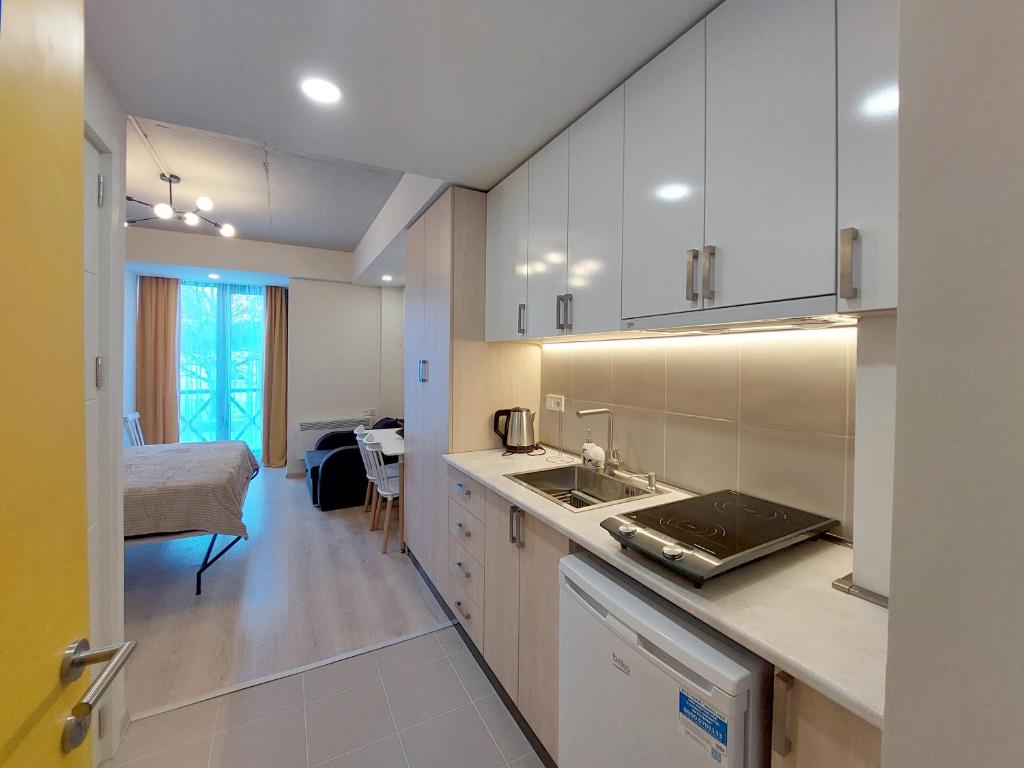 هتل باگوریانی میکس آپارتمان 207 Bakuriani Mix Apartment 207